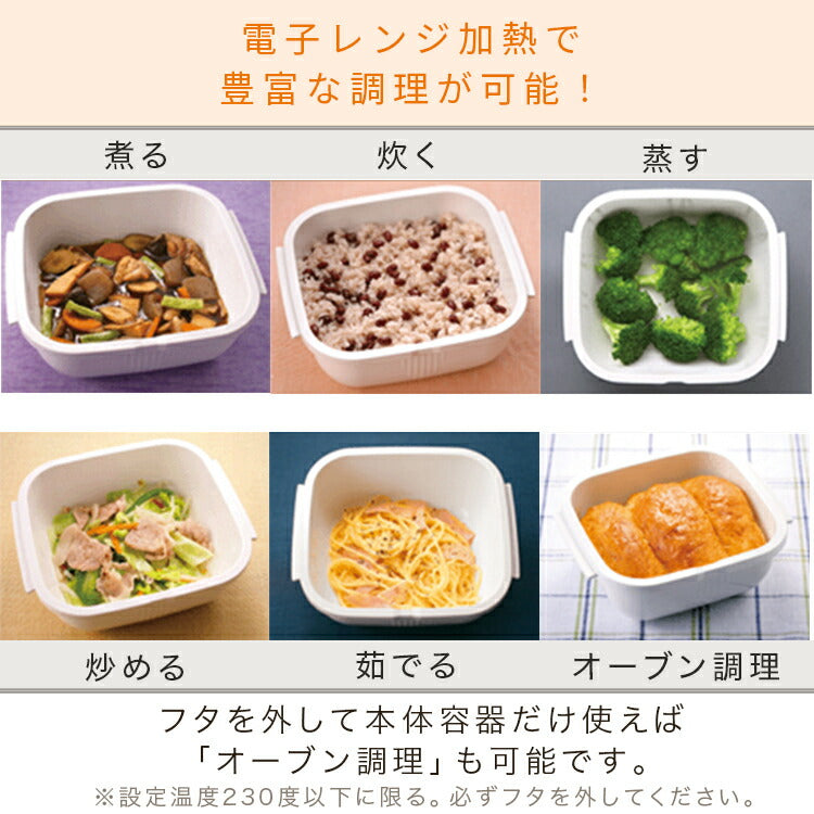 岩谷マテリアル GOURLAB マルチクッキングカプセル  GLB-BS